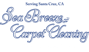 sea_breeze_carpet_cleaning_logo2